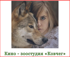 Кино - зоостудия Ковчег